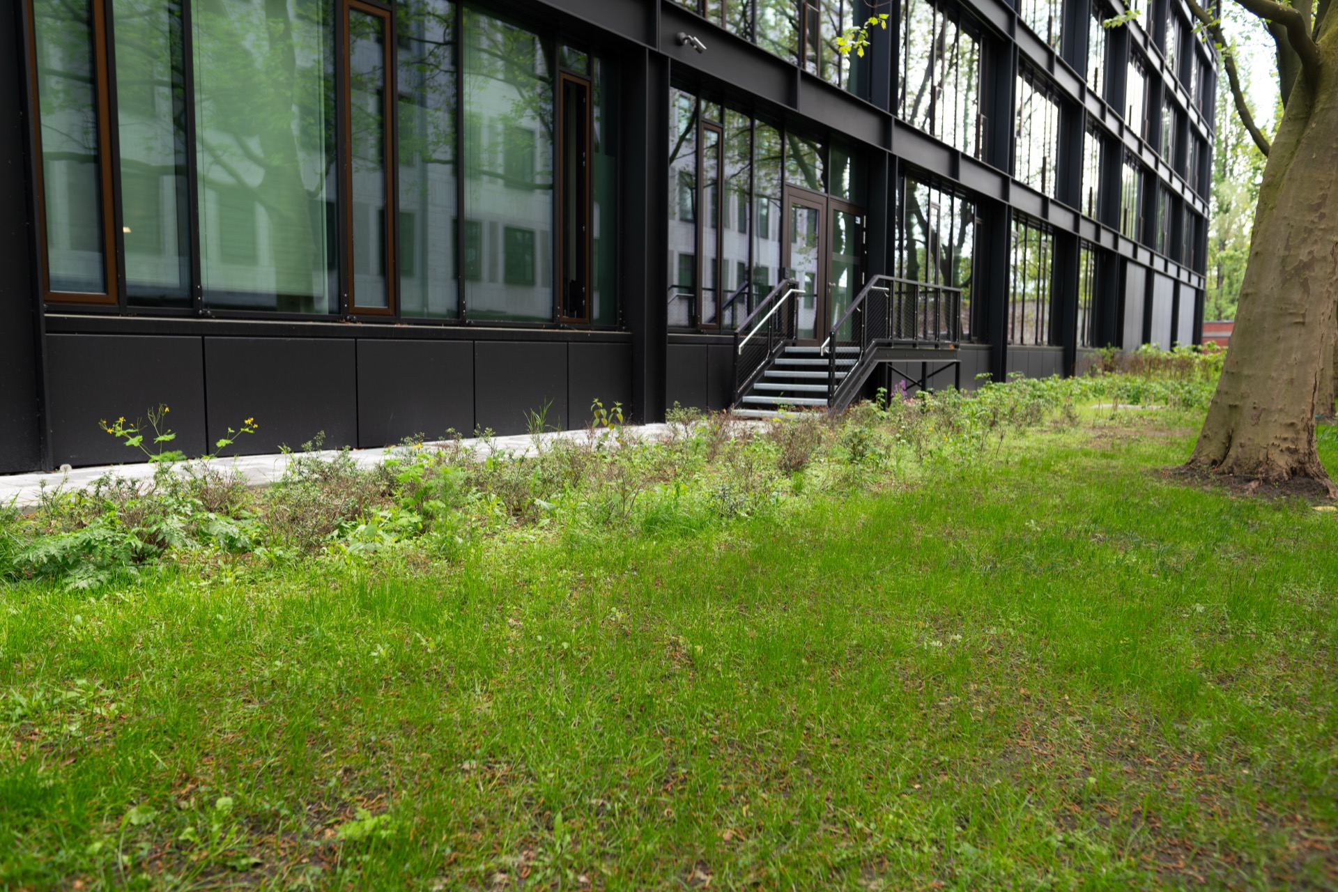 Grasblau — Berlin Mitte